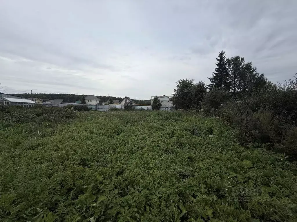 Участок в Свердловская область, Полевской муниципальный округ, с. ... - Фото 0