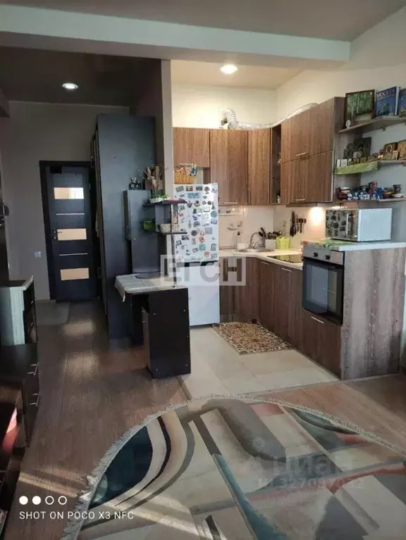 1-к кв. Московская область, Богородский городской округ, д. Щемилово ... - Фото 2