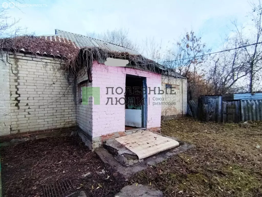 Дом в Прохоровский район, Кривошеевское сельское поселение, село ... - Фото 2