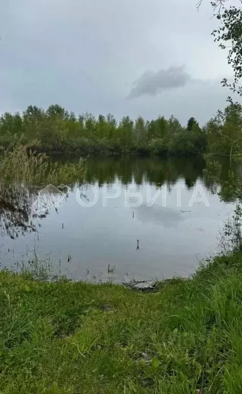 Участок в Тюменская область, Тюменский муниципальный округ, Подъем СНТ ... - Фото 1