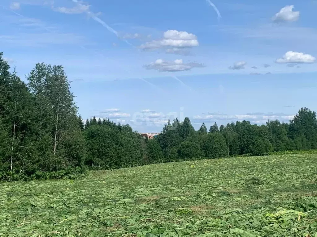 Участок в Коми, Сыктывдинский район, с. Выльгорт  (9.5 сот.) - Фото 0