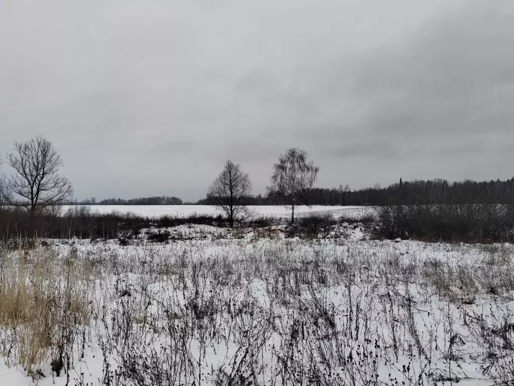 Участок в Московская область, Чехов муниципальный округ, д. Голыгино  ... - Фото 0