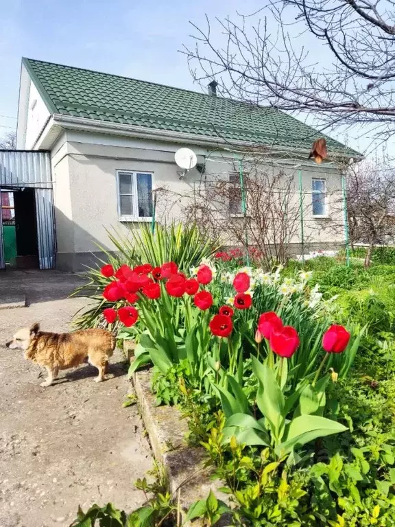 Дом в Ставропольский край, Предгорный муниципальный округ, Суворовская ... - Фото 0