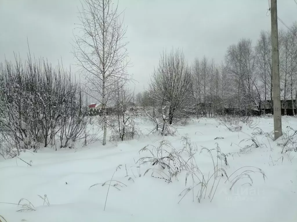 Участок в Нижегородская область, Выкса городской округ, ... - Фото 2