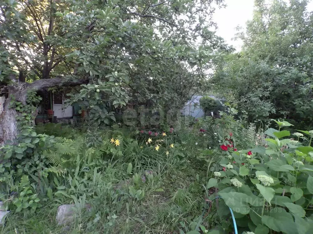 Участок в Самарская область, Волжский район, Воскресенка с/пос, Радуга ... - Фото 1