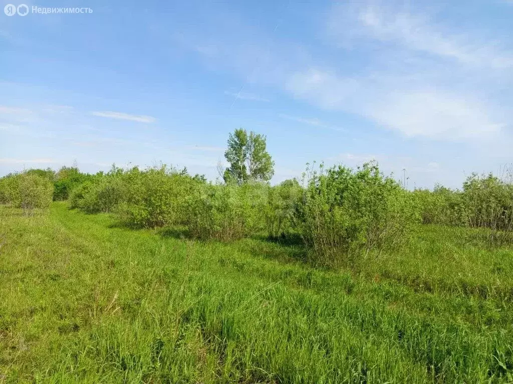 Участок в Тюменский район, село Борки (44.33 м) - Фото 0