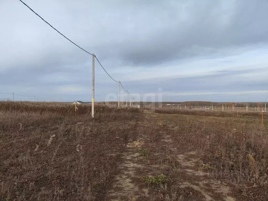 Участок в Тюменская область, Тюменский муниципальный округ, ... - Фото 2