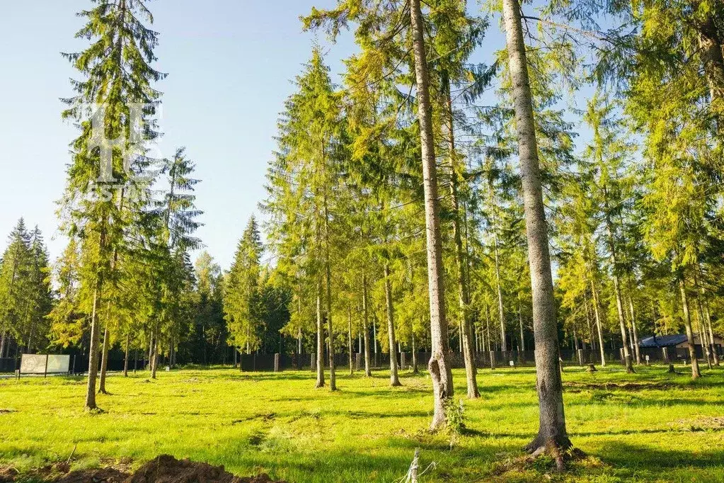 Участок, 16 сот., сельхоз (снт или днп) - Фото 2