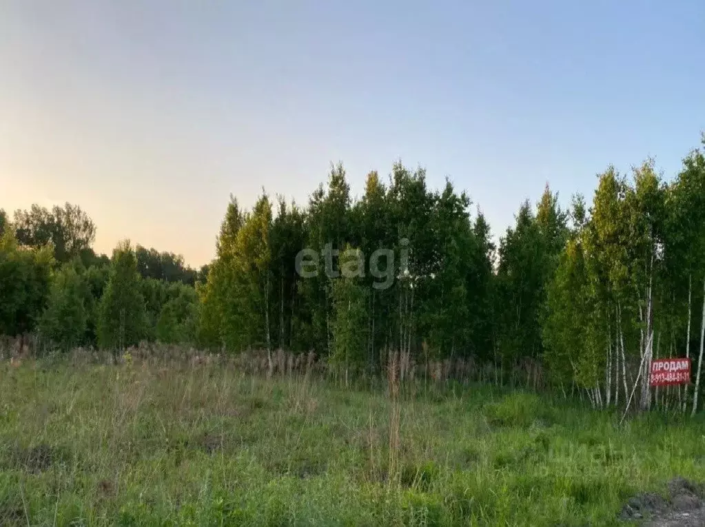Участок в Новосибирская область, Искитимский район, Морозовский ... - Фото 0
