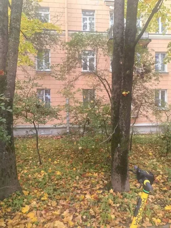 2-к кв. Санкт-Петербург, Санкт-Петербург, Пушкин Красносельское ш., 45 ... - Фото 2