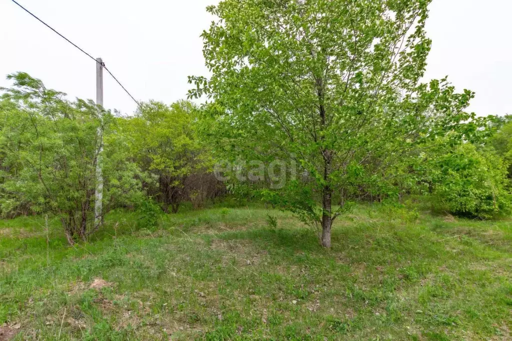 Участок в Еврейская автономная область, Смидовичский район, пос. ... - Фото 1