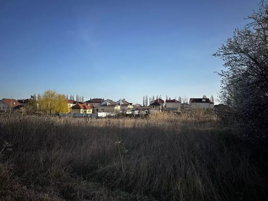 Участок в Краснодарский край, Анапа муниципальный округ, Черный хут. ... - Фото 2