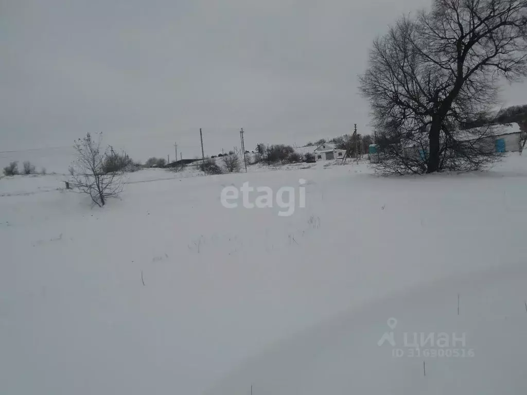 Участок в Белгородская область, Валуйский муниципальный округ, ... - Фото 0