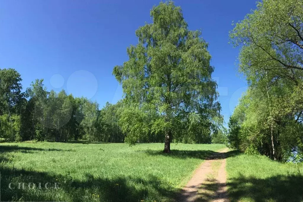 Купить Участок В Одинцовском Районе Подмосковья