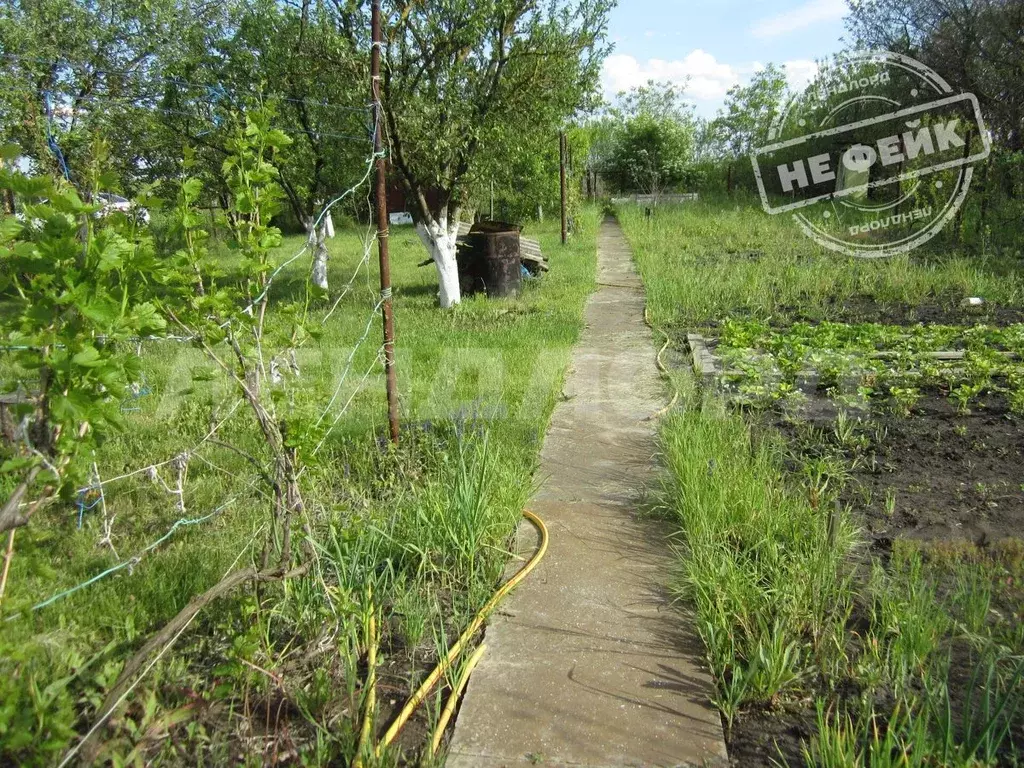 Участок в Ростовская область, Ростов-на-Дону Петрозаводская ул. (4.6 ... - Фото 1