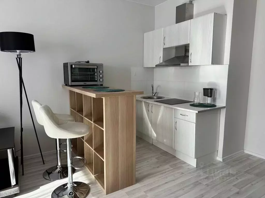 Студия Санкт-Петербург Московский просп., 73к5 (30.0 м) - Фото 2