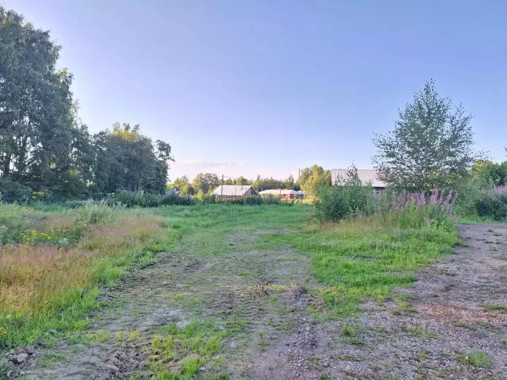 Участок в Ленинградская область, Приозерский район, Красноозерное ... - Фото 0