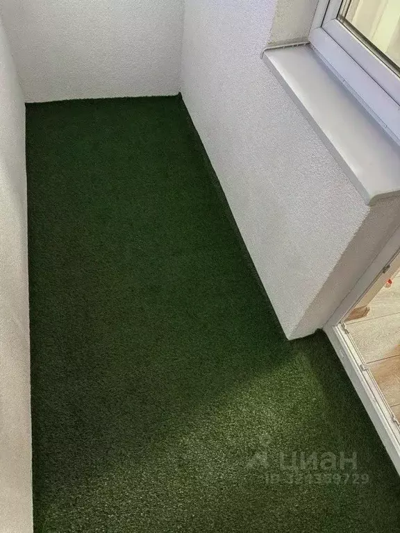 Студия Свердловская область, Екатеринбург ул. Отрадная, 1Дк1 (24.2 м) - Фото 2