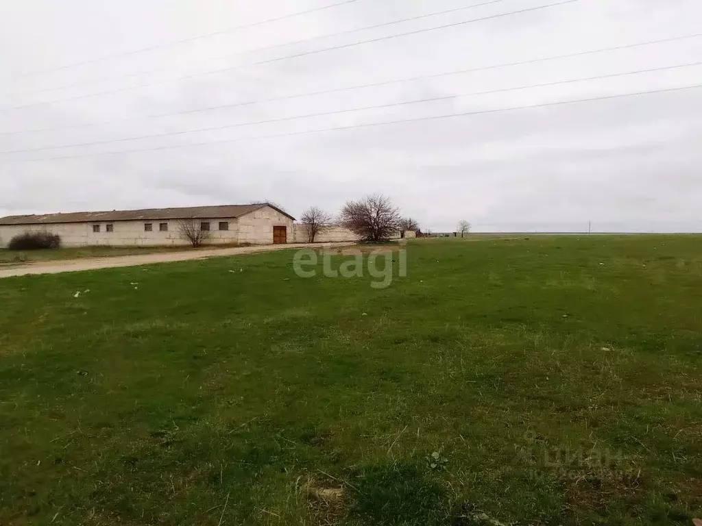 Участок в Крым, Феодосия муниципальный округ, с. Береговое ул. Речная ... - Фото 1