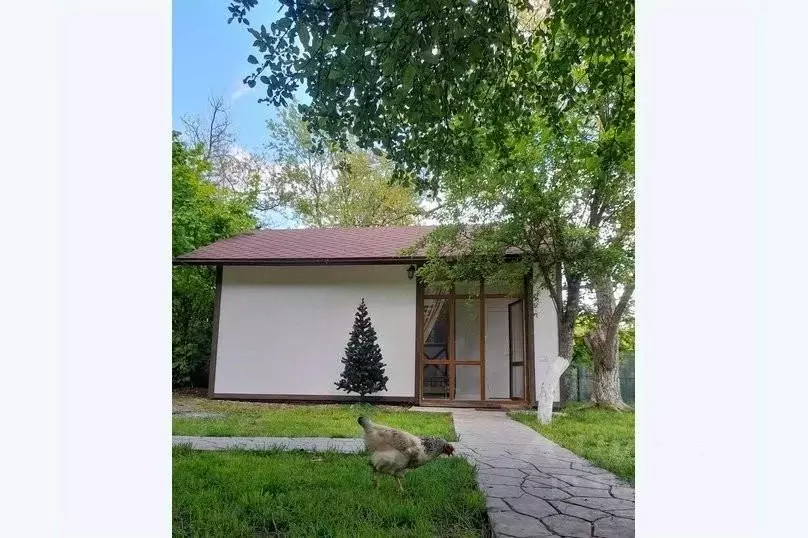 Дом в Краснодарский край, Геленджик городской округ, с. Прасковеевка ... - Фото 1