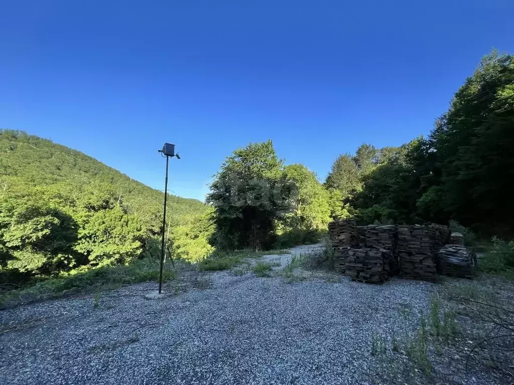 Участок в Краснодарский край, Геленджик городской округ, с. ... - Фото 1