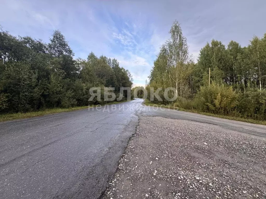 Участок в Пермский край, Березники муниципальный округ, д. Пешково ул. ... - Фото 2