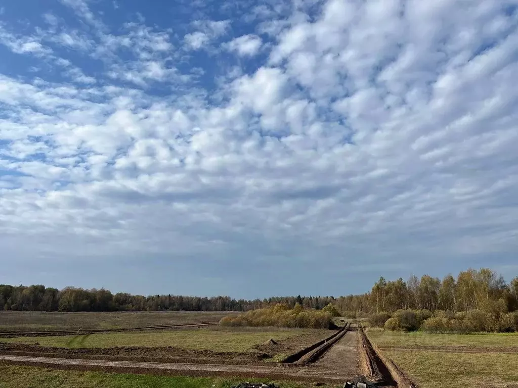 Участок в Московская область, Истра муниципальный округ, д. Загорье ... - Фото 2