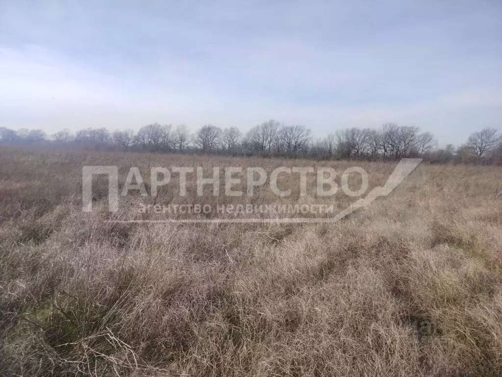 Участок в Краснодарский край, Северский район, Ильское городское ... - Фото 1