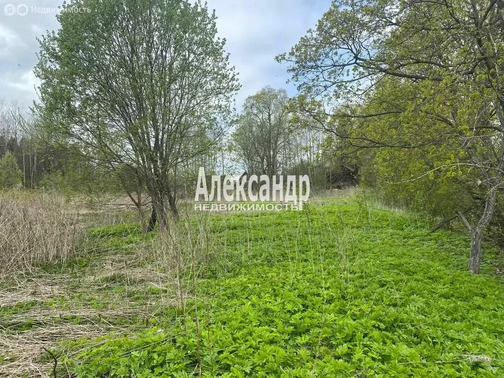 Участок в городской посёлок Лесогорский, Выборгское шоссе (10 м) - Фото 0