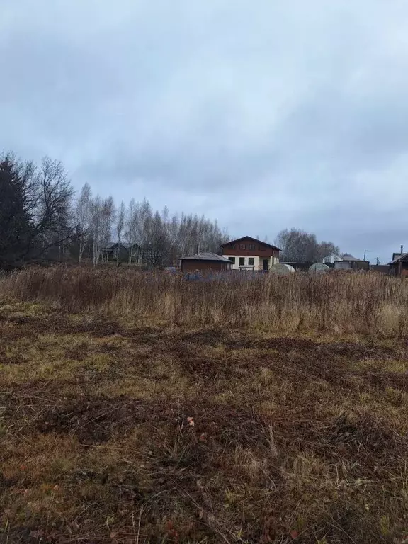 Участок в Нижегородская область, Богородский муниципальный округ, д. ... - Фото 1