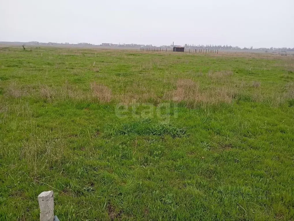 Участок в Крым, Ленинский район, Батальненское с/пос, Нептун СНТ  (8.0 ... - Фото 1