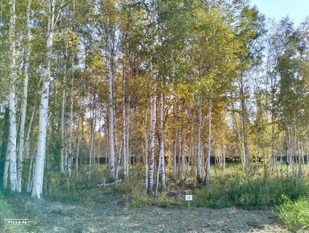 Участок в Свердловская область, Сысертский городской округ, пос. ... - Фото 0