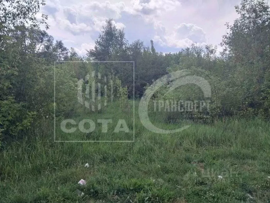 Участок в Воронежская область, Рамонь рп ул. Победы, 13Б/3 (8.0 сот.) - Фото 2