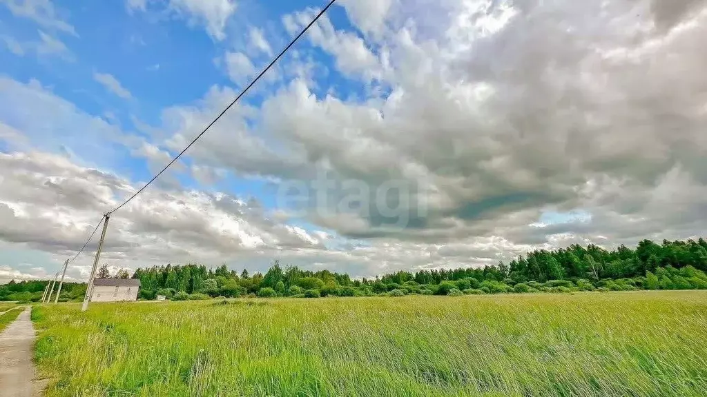 Участок в Ярославская область, Ярославский муниципальный округ, д. ... - Фото 1