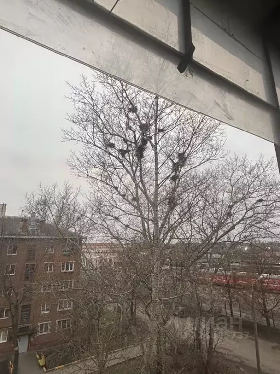 1-к кв. Тульская область, Тула Красноармейский просп., 52 (31.0 м) - Фото 1