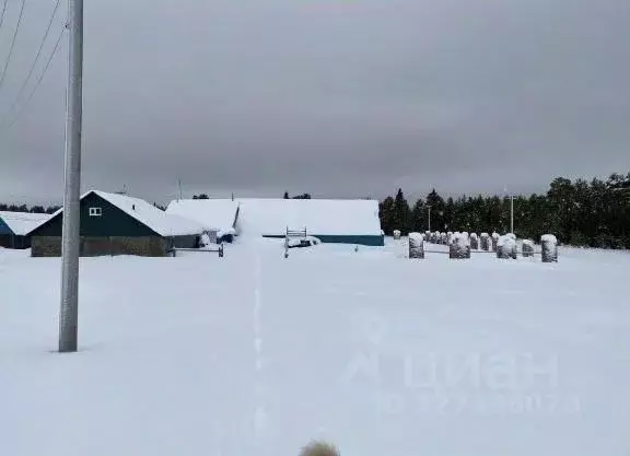 Дом в Коми, Вуктыл муниципальный округ, д. Усть-Щугер ул. Центральная ... - Фото 1