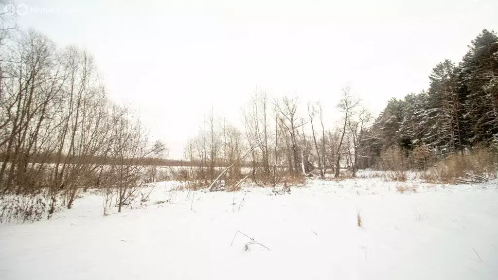 Участок в Томский район, деревня Козюлино (25 м) - Фото 2