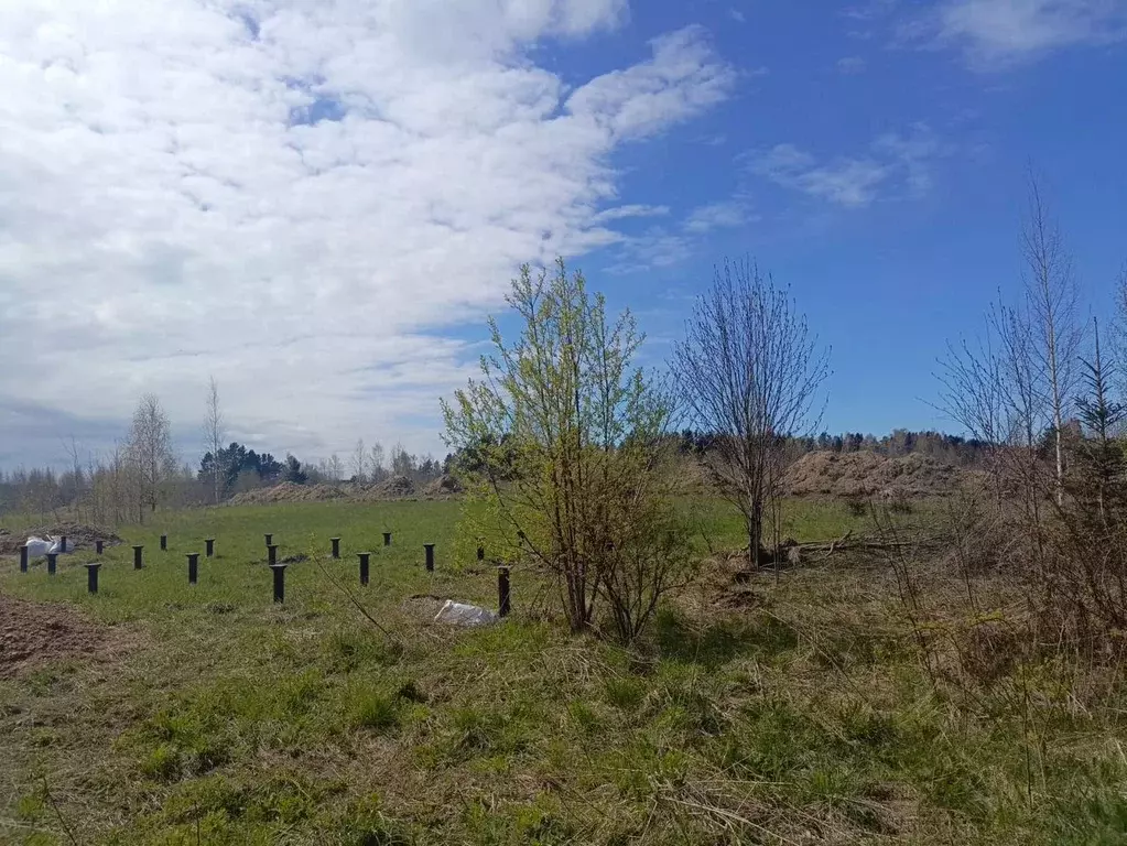 Участок в Ленинградская область, Ломоносовский район, Лебяженское ... - Фото 1