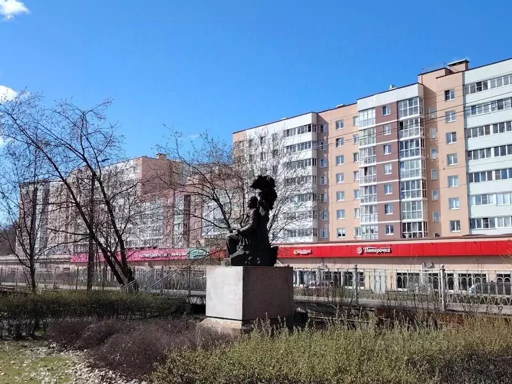 1-к кв. Санкт-Петербург, Санкт-Петербург, Сестрорецк ул. Гагаринская, ... - Фото 1
