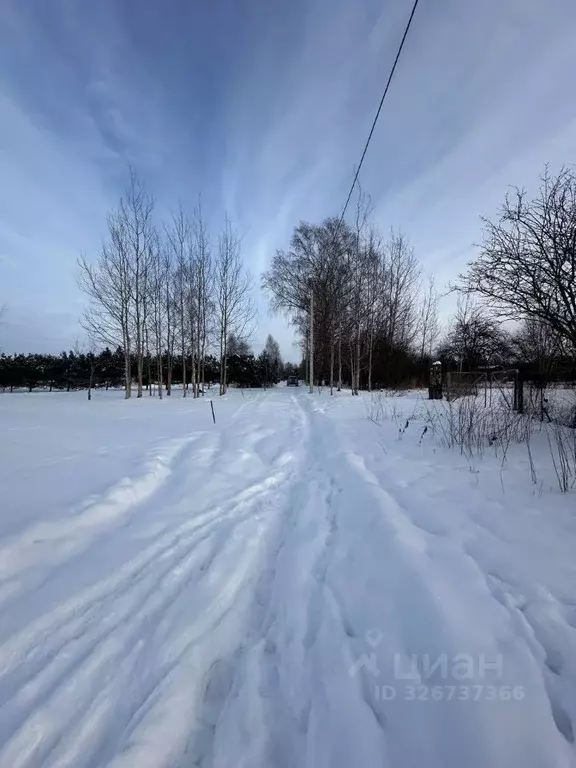 Участок в Псковская область, Печорский муниципальный округ, д. ... - Фото 1