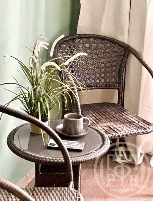 Студия Санкт-Петербург ул. Савушкина, 104 (26.2 м) - Фото 1