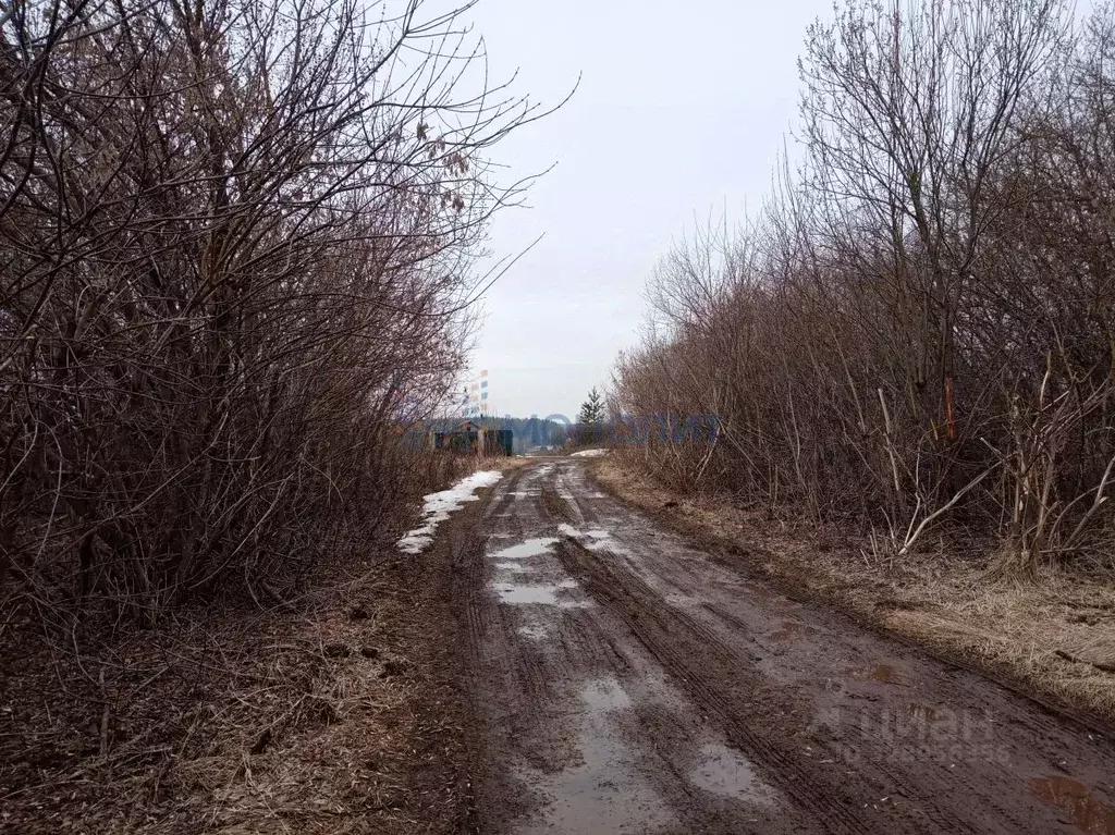 Участок в Нижегородская область, Богородский муниципальный округ, ... - Фото 2