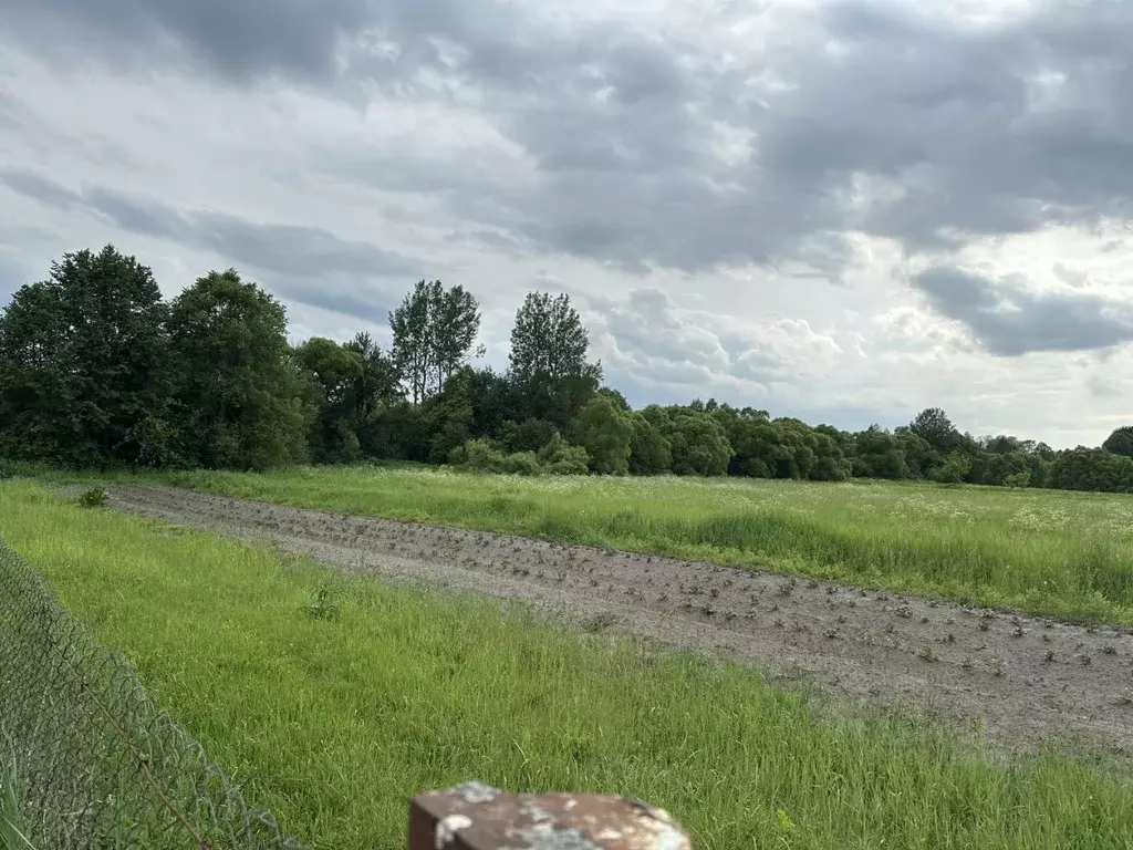 Участок в Брянская область, Карачевское городское поселение, с. Одрина ... - Фото 0