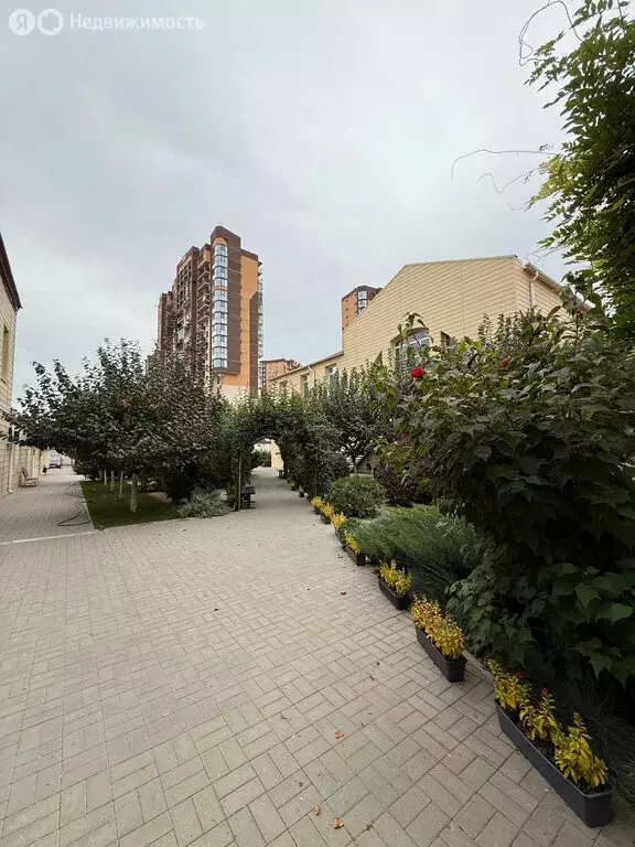 Офис (39.7 м) - Фото 1