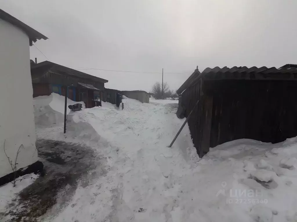 Дом в Алтайский край, Мамонтовский район, с. Корчино Молодежная ул., ... - Фото 1