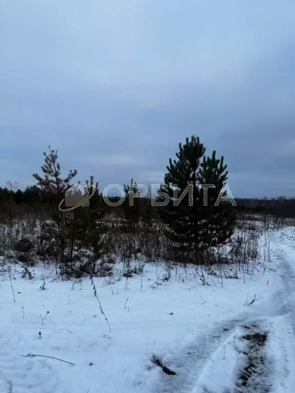 Участок в Тюменская область, Тюменский район, с. Горьковка Сибирская ... - Фото 0