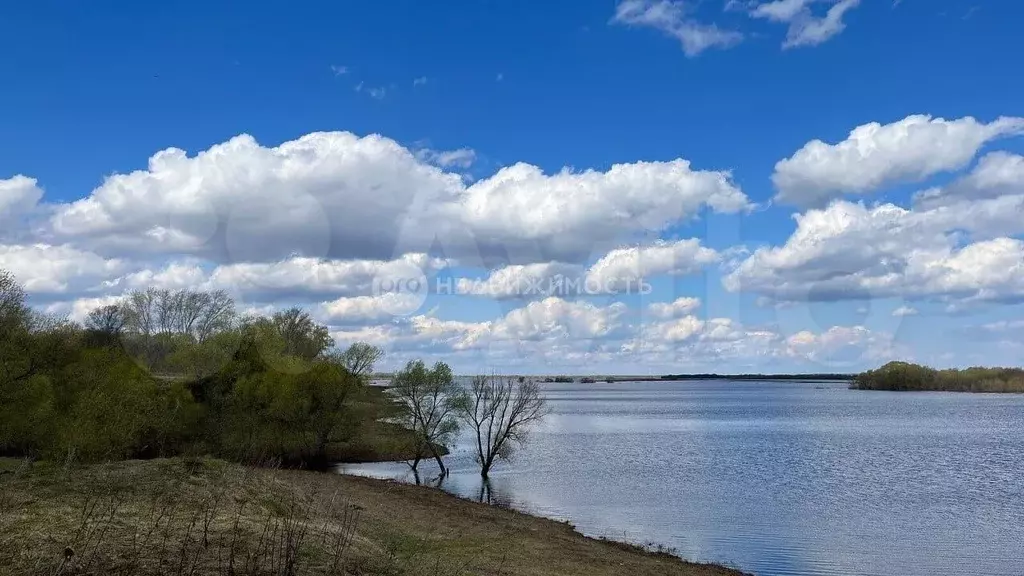 Участок 11,6 сот. (ИЖС) - Фото 1