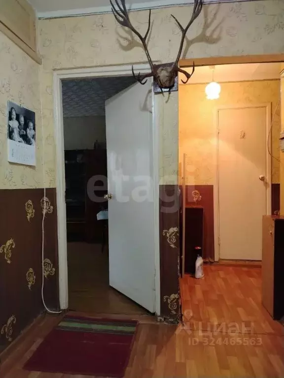 2-к кв. Костромская область, Кострома пос. Первомайский, ул. Боровая, ... - Фото 1