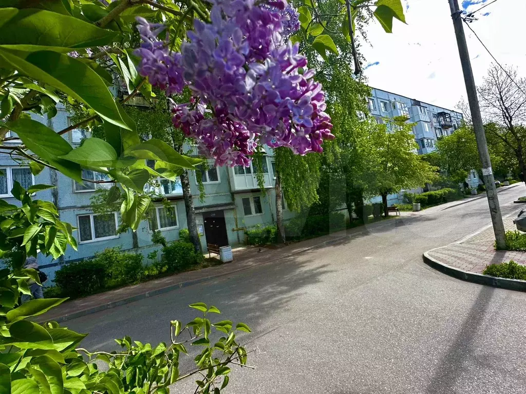1-к. квартира, 31 м, 1/5 эт. - Фото 0