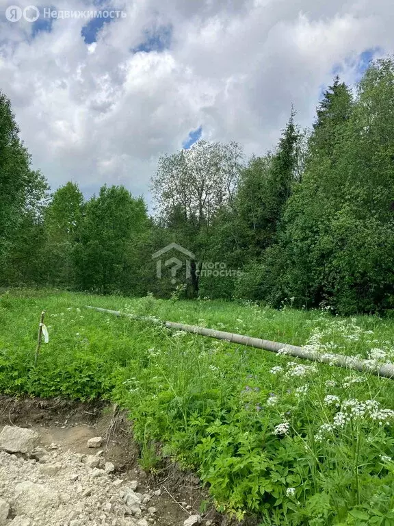 Участок в Лопухинское сельское поселение, деревня Новая Буря, ... - Фото 1